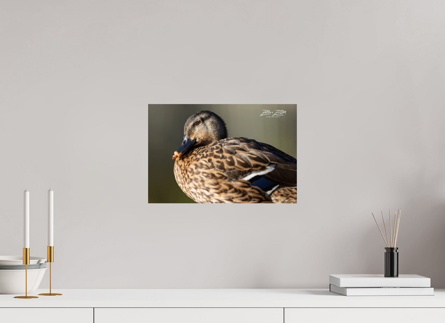 15 x 10″, Photo Print On Fuji Crystal DP II Zillas Zoom Image 300