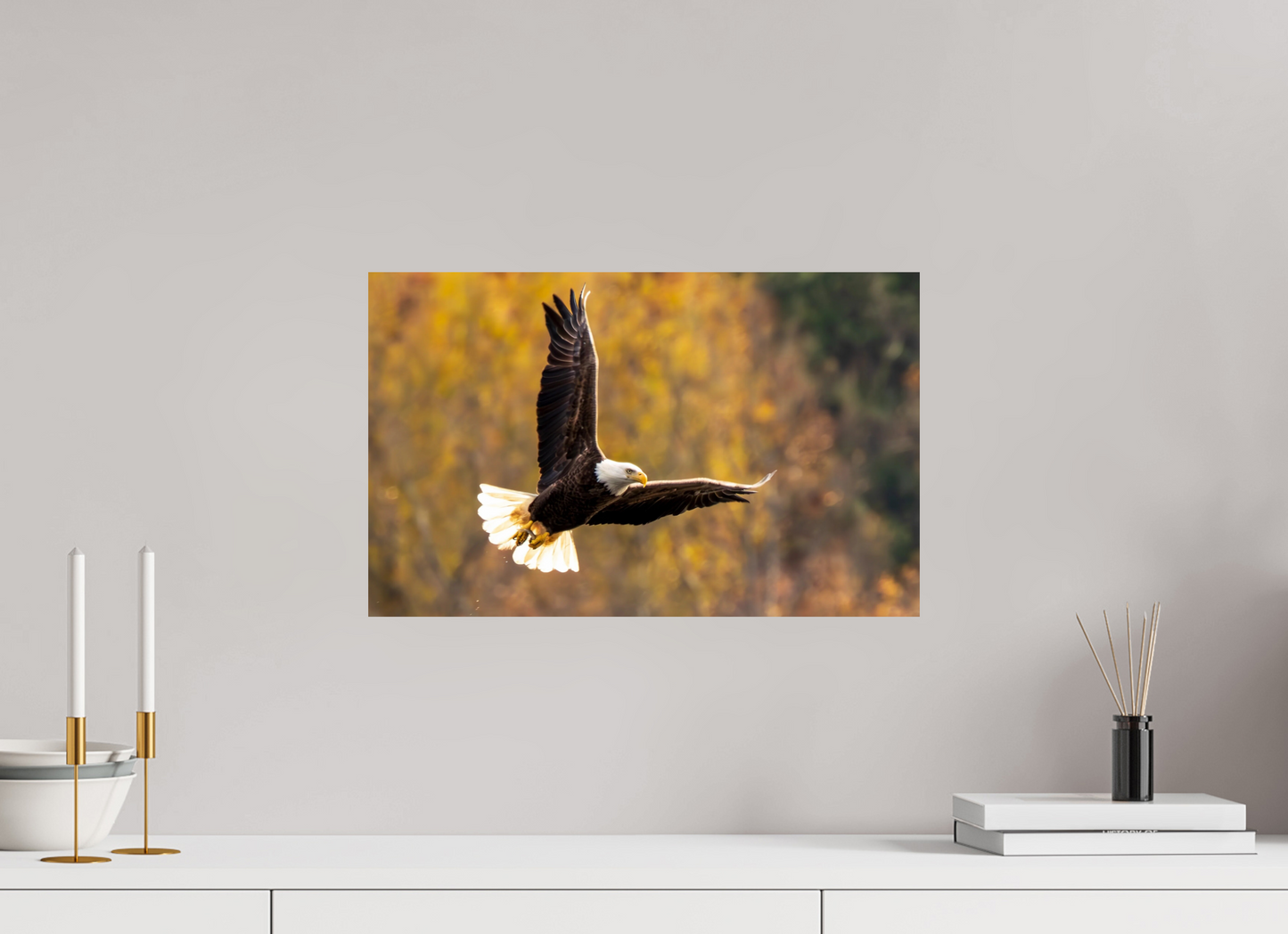 19.2 x 12″, Photo Print On Fuji Crystal DP II Zillas Zoom Image 394