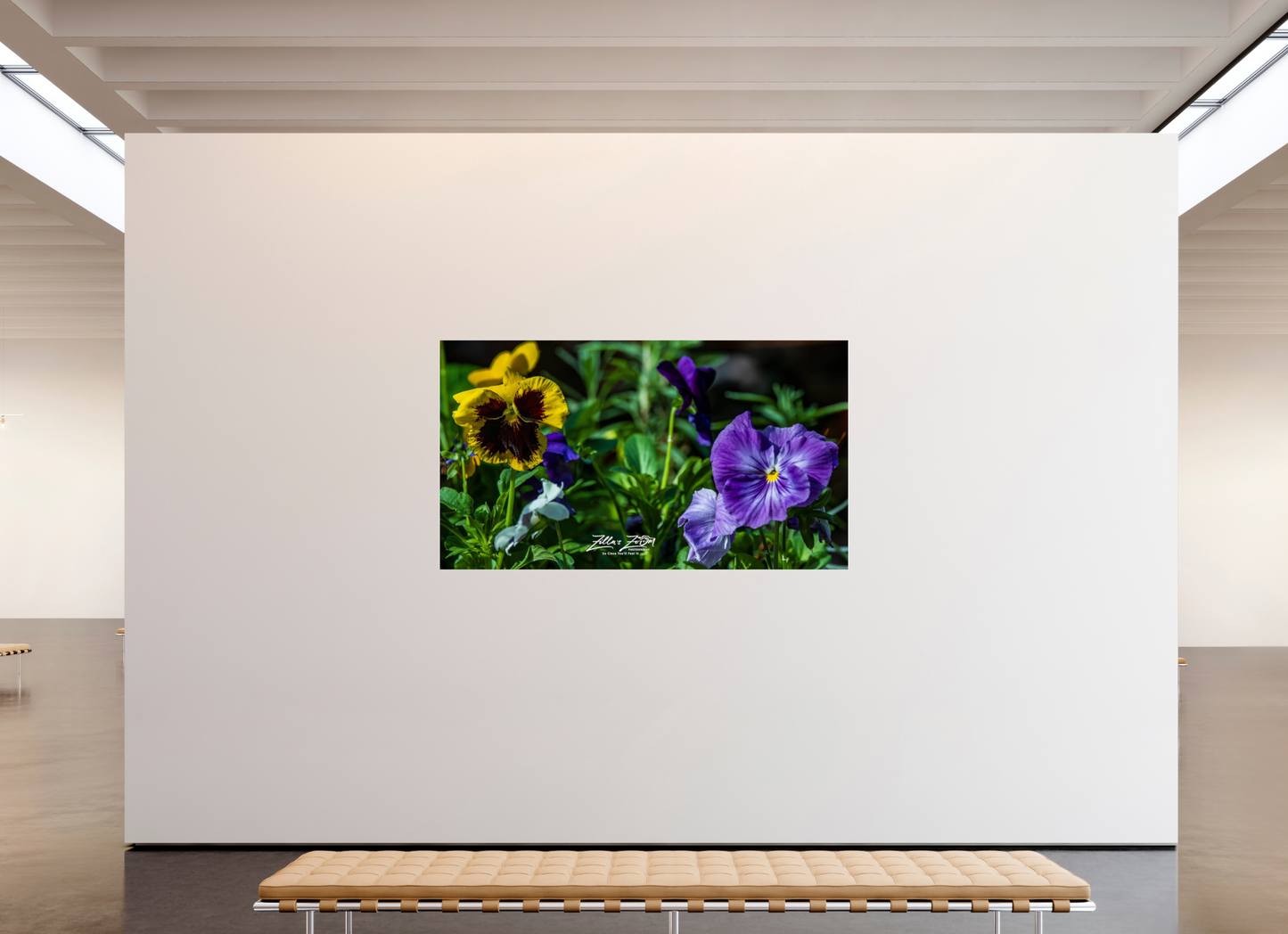 80 x 45″, Photo Print Under Acrylic Glass Zillas Zoom Image 91