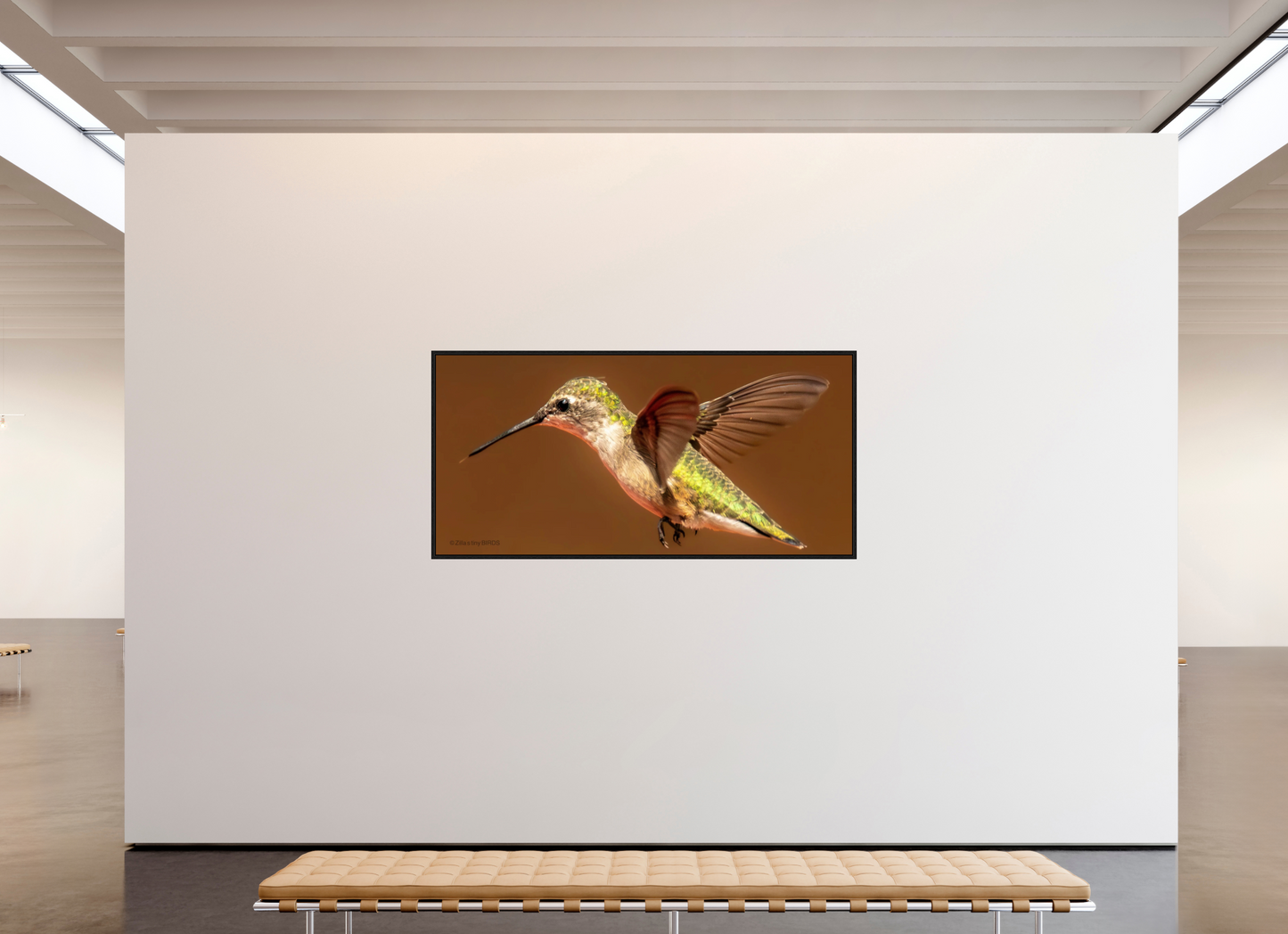 81.4 x 39″, Floater Frame Zillas Zoom Image 327
