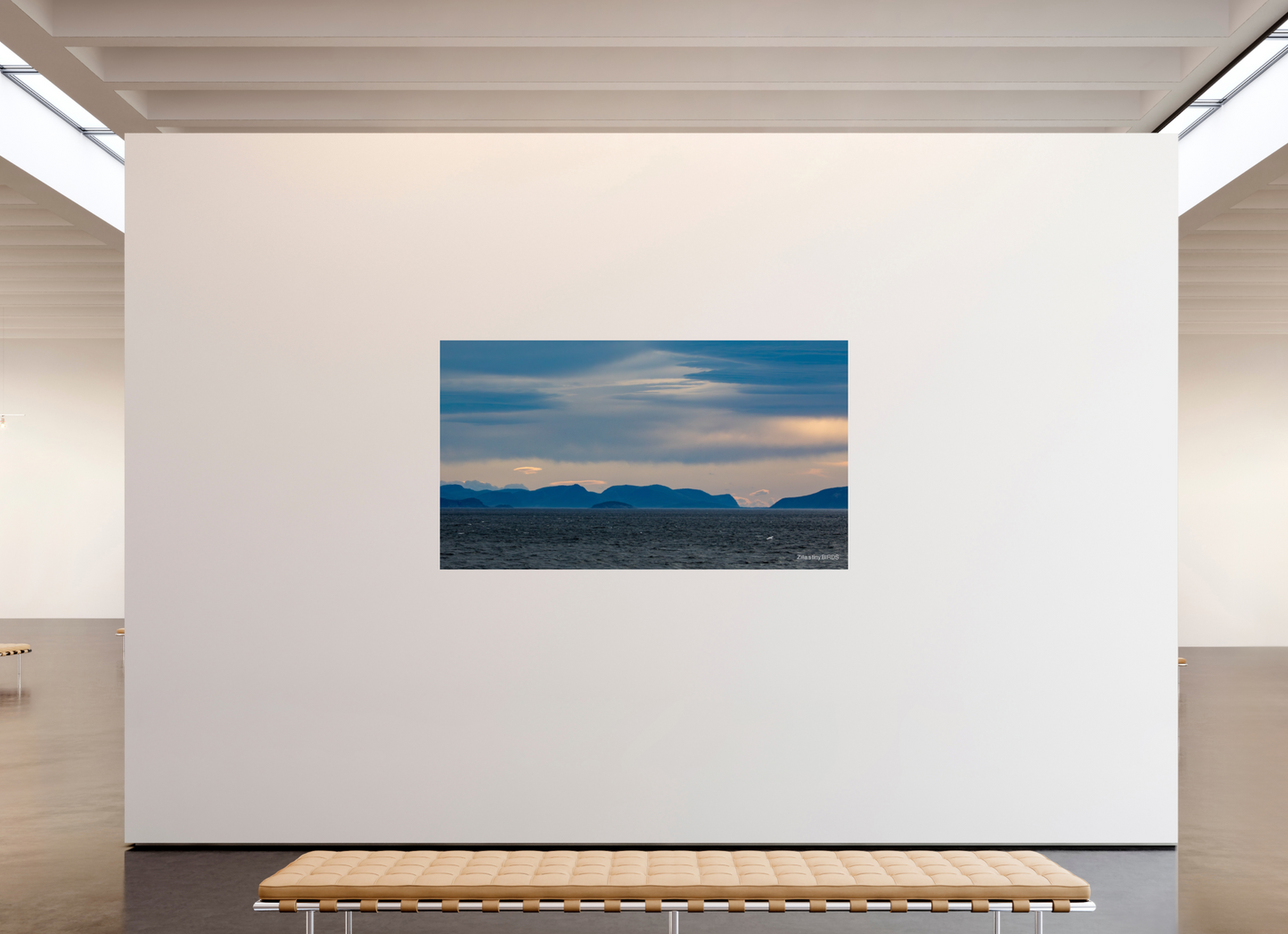 80 x 45″, Photo Print Under Acrylic Glass Zillas Zoom Image 216