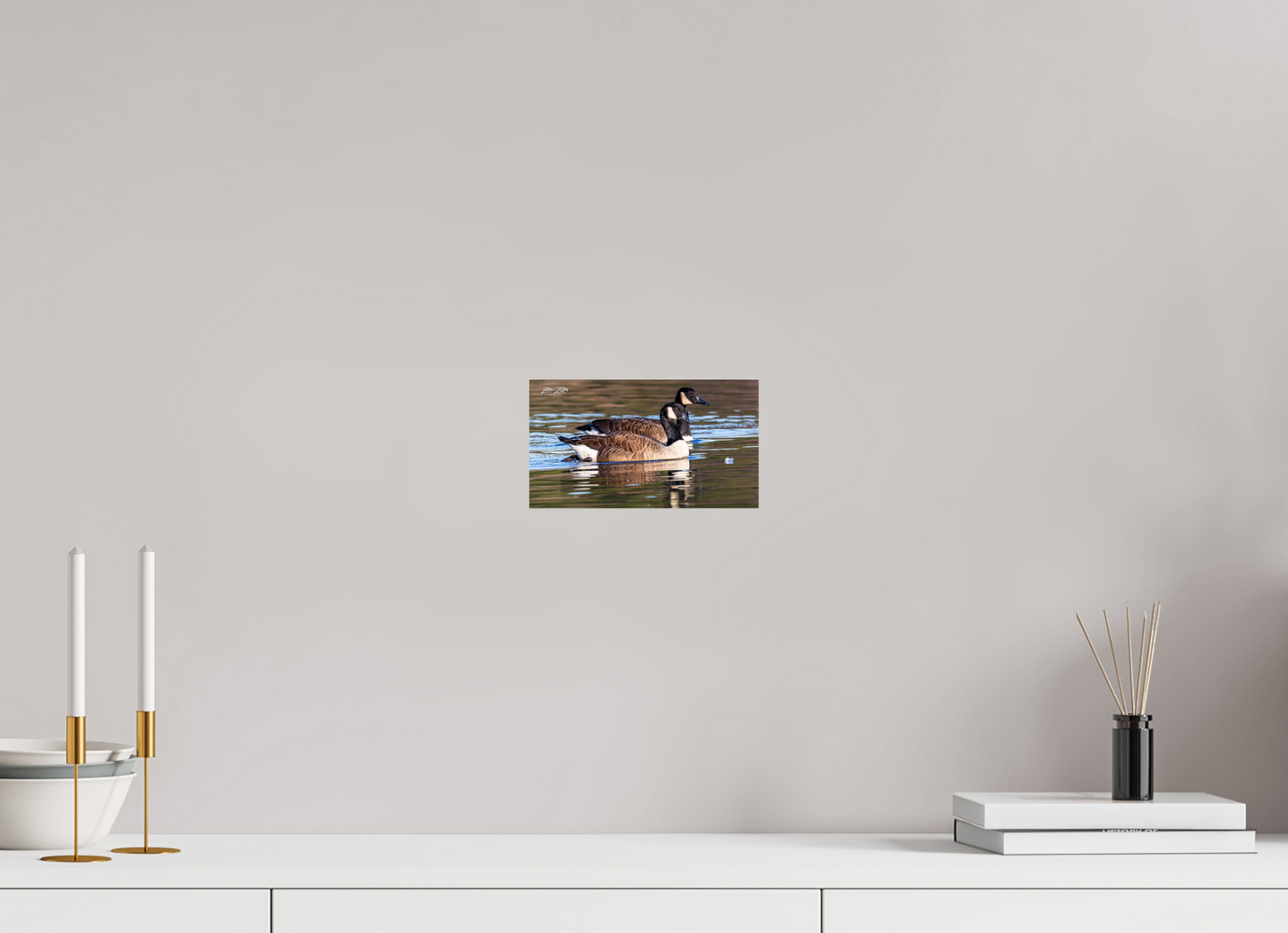 8 x 4.5″, Photo Print On Fuji Crystal DP II Zillas Zoom Image 279