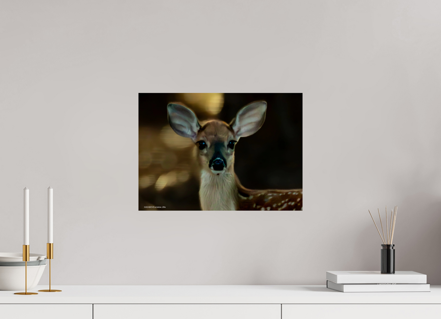 16.7 x 12″, Photo Print On Fuji Crystal DP II Zillas zoom image 135