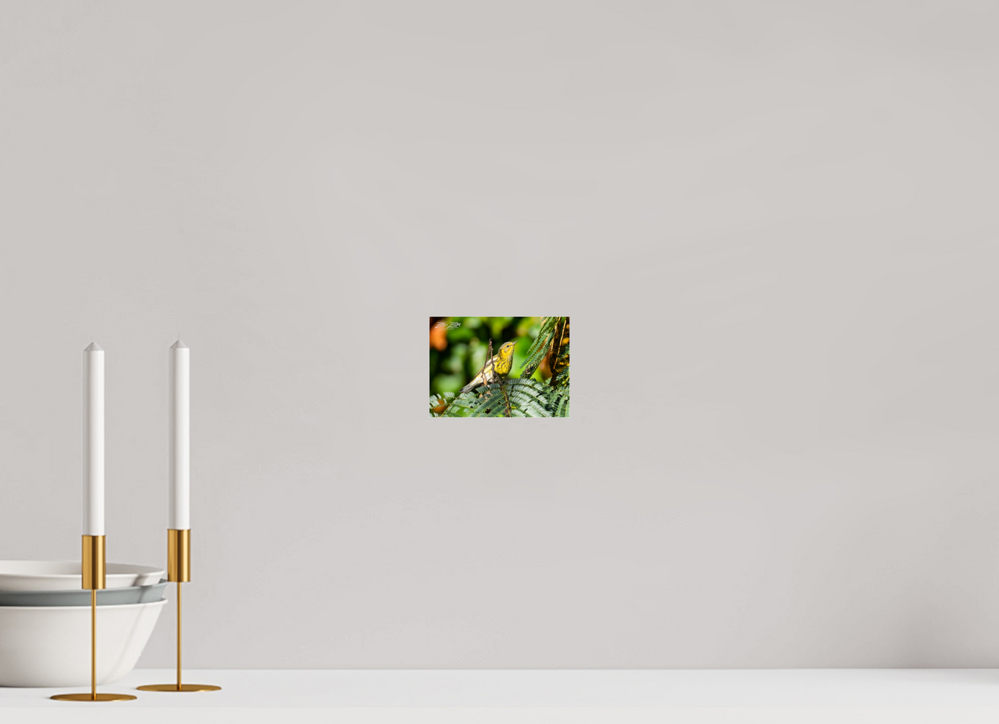 5.6 x 4″, Photo Print Under Acrylic Glass Zillas Zoom Image 290