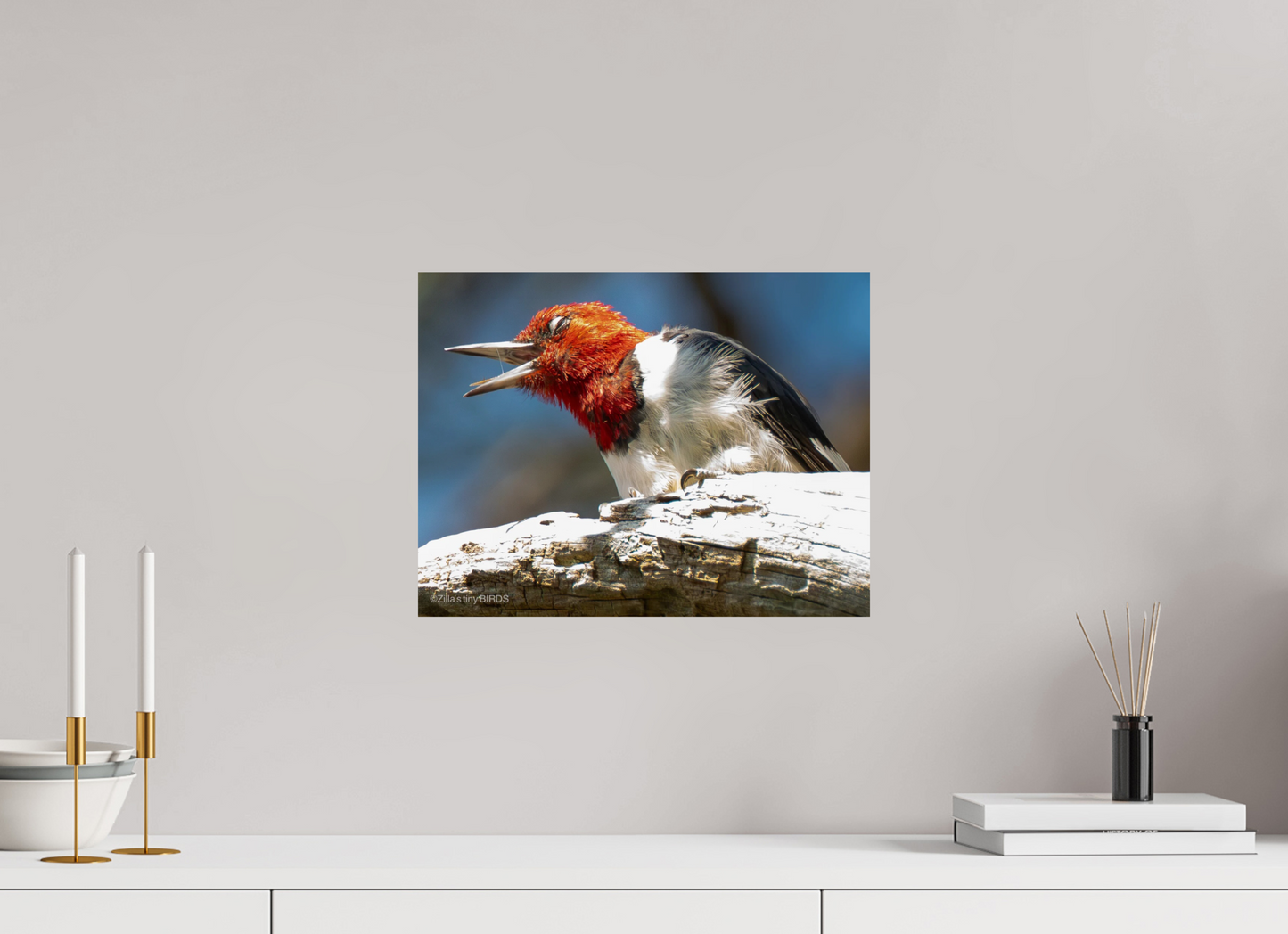 15.7 x 12″, Photo Print On Fuji Crystal DP II Zillas Zoom Image 269