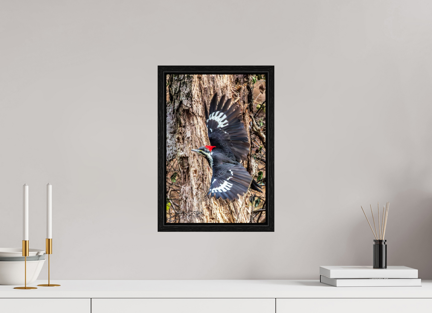 10 x 15″, Floater Frame Zillas Zoom Image 418