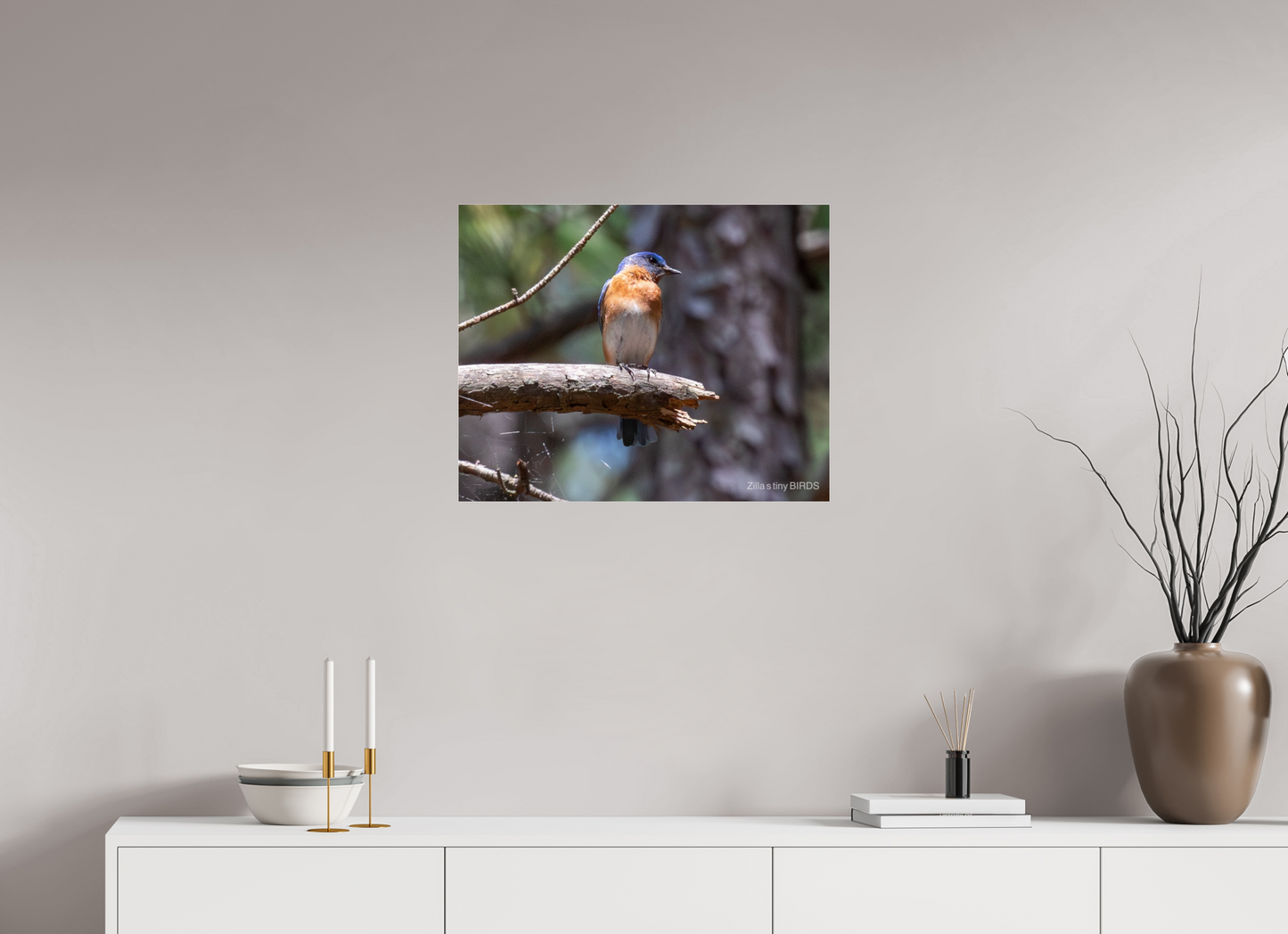 25 x 20″, Photo Print Under Acrylic Glass Zillas Zoom Image 368
