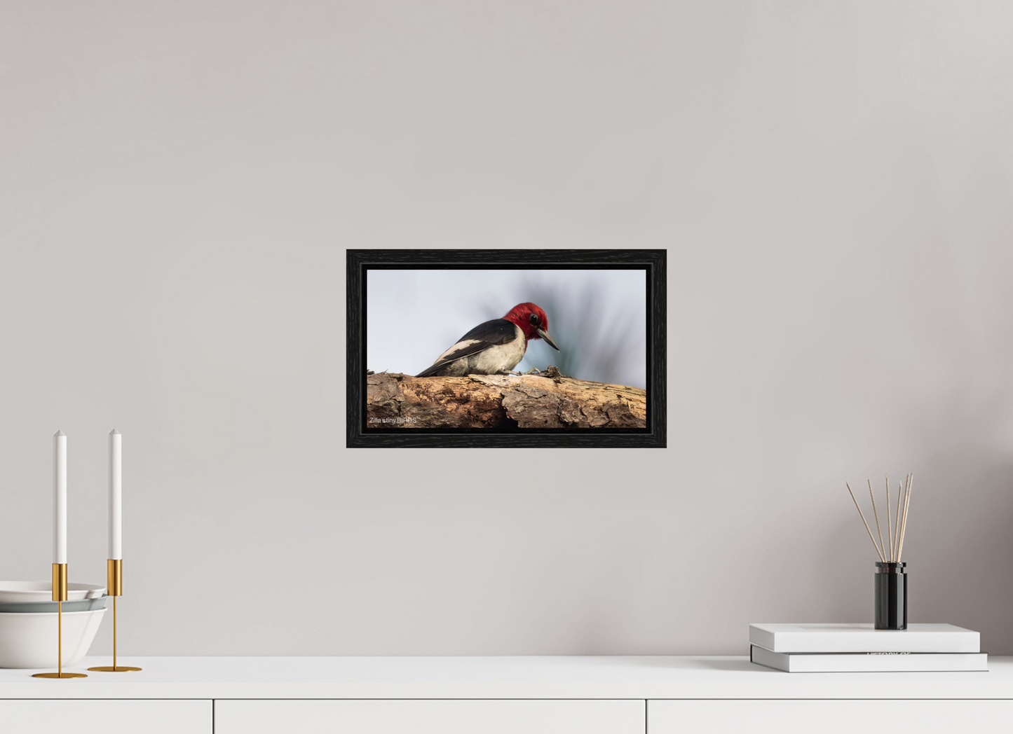 12 x 6.8″, Floater Frame Zillas Zoom Image 391