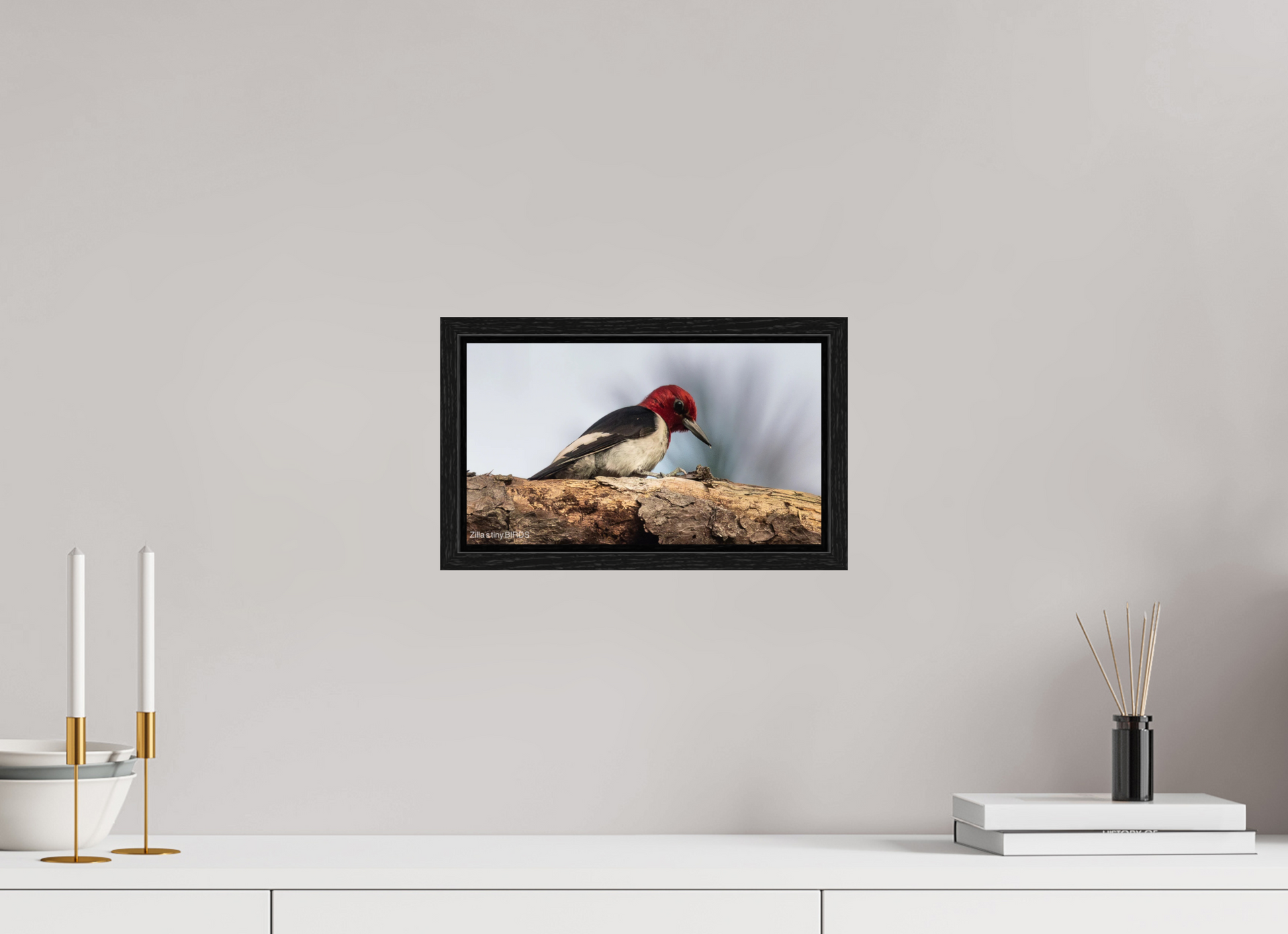 12 x 6.8″, Floater Frame Zillas Zoom Image 391