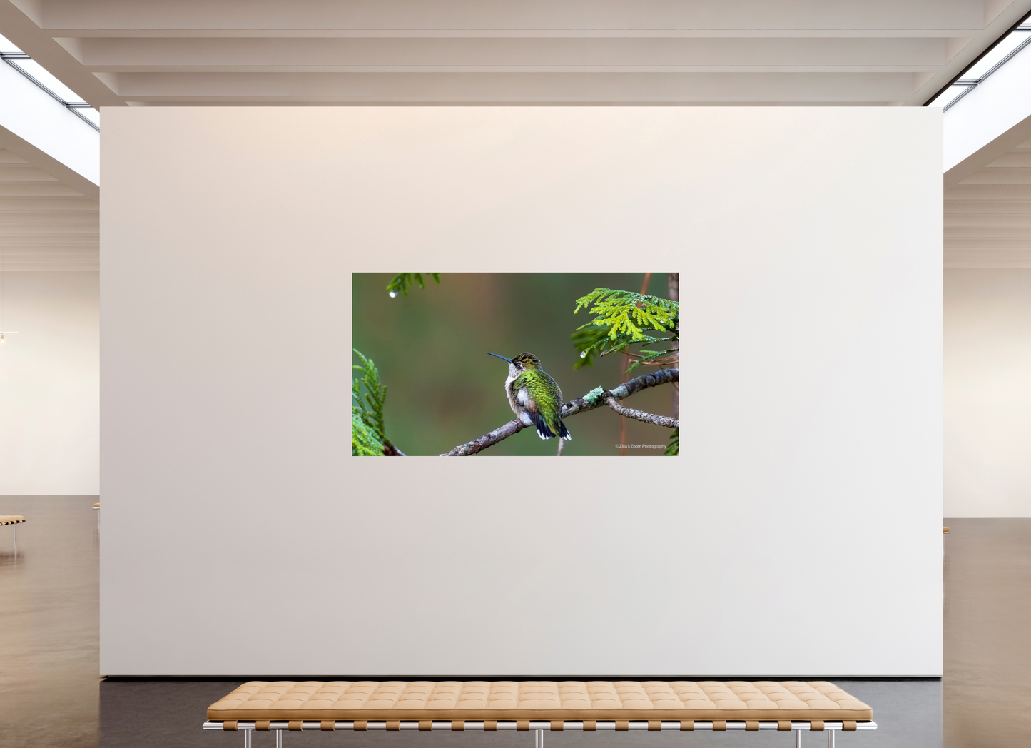 80 x 45″, Photo Print Under Acrylic Glass Zillas Zoom Image 309
