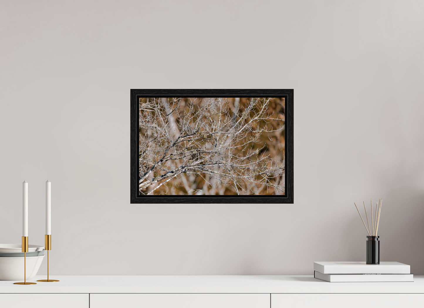 15 x 10″, Floater Frame Zillas Zoom Image 184