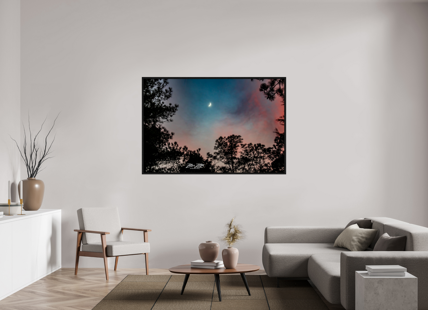 66 x 44″, Floater Frame Zillas zoom image 129