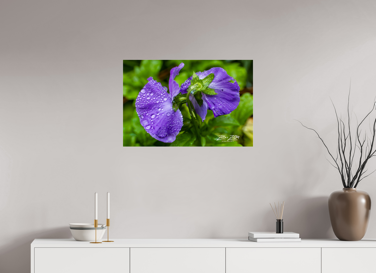 30 x 20″, Photo Print Under Acrylic Glass Zillas Zoom Image 93