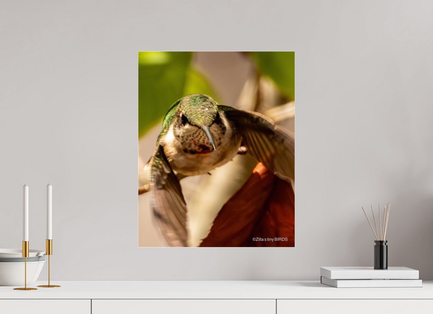 16 x 20″, Photo Print Under Acrylic Glass Zillas Zoom Image 504