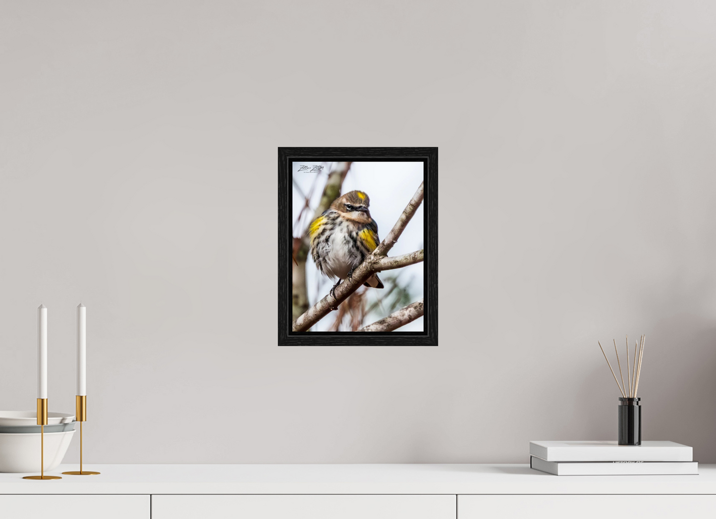 8 x 10.4″, Floater Frame Zillas Zoom Image 496
