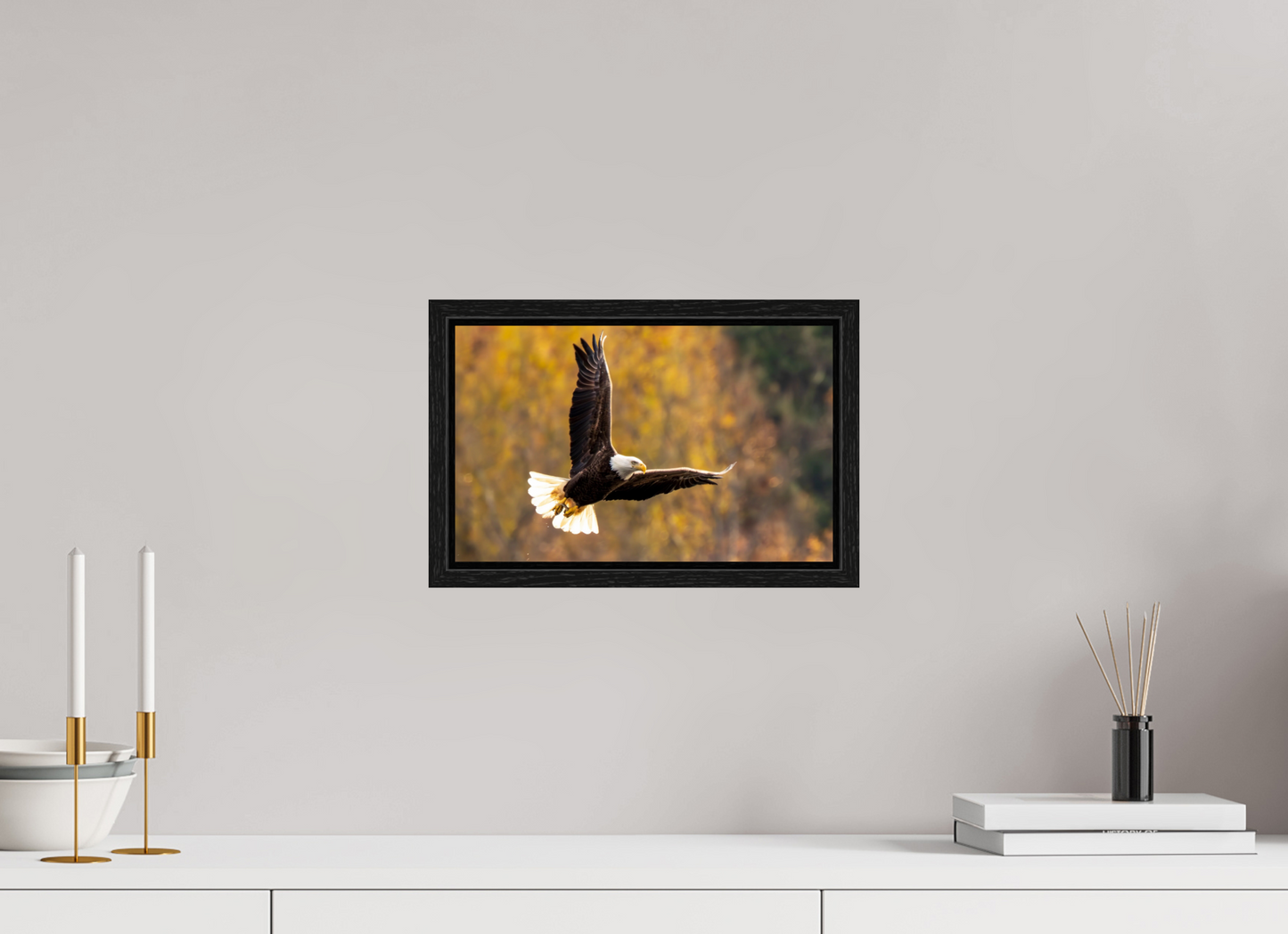 12.8 x 8″, Floater Frame Zillas Zoom Image 394