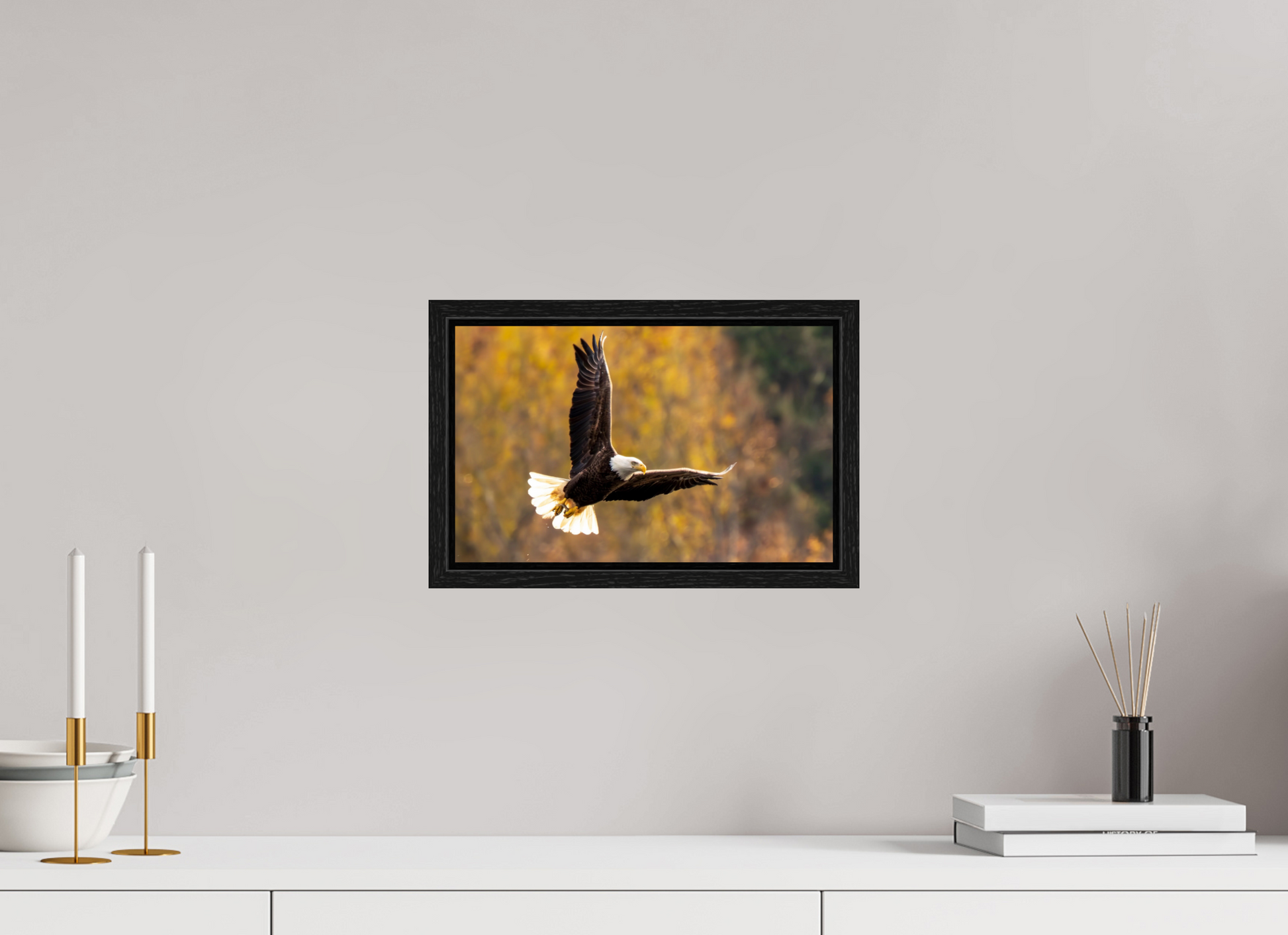 12.8 x 8″, Floater Frame Zillas Zoom Image 394