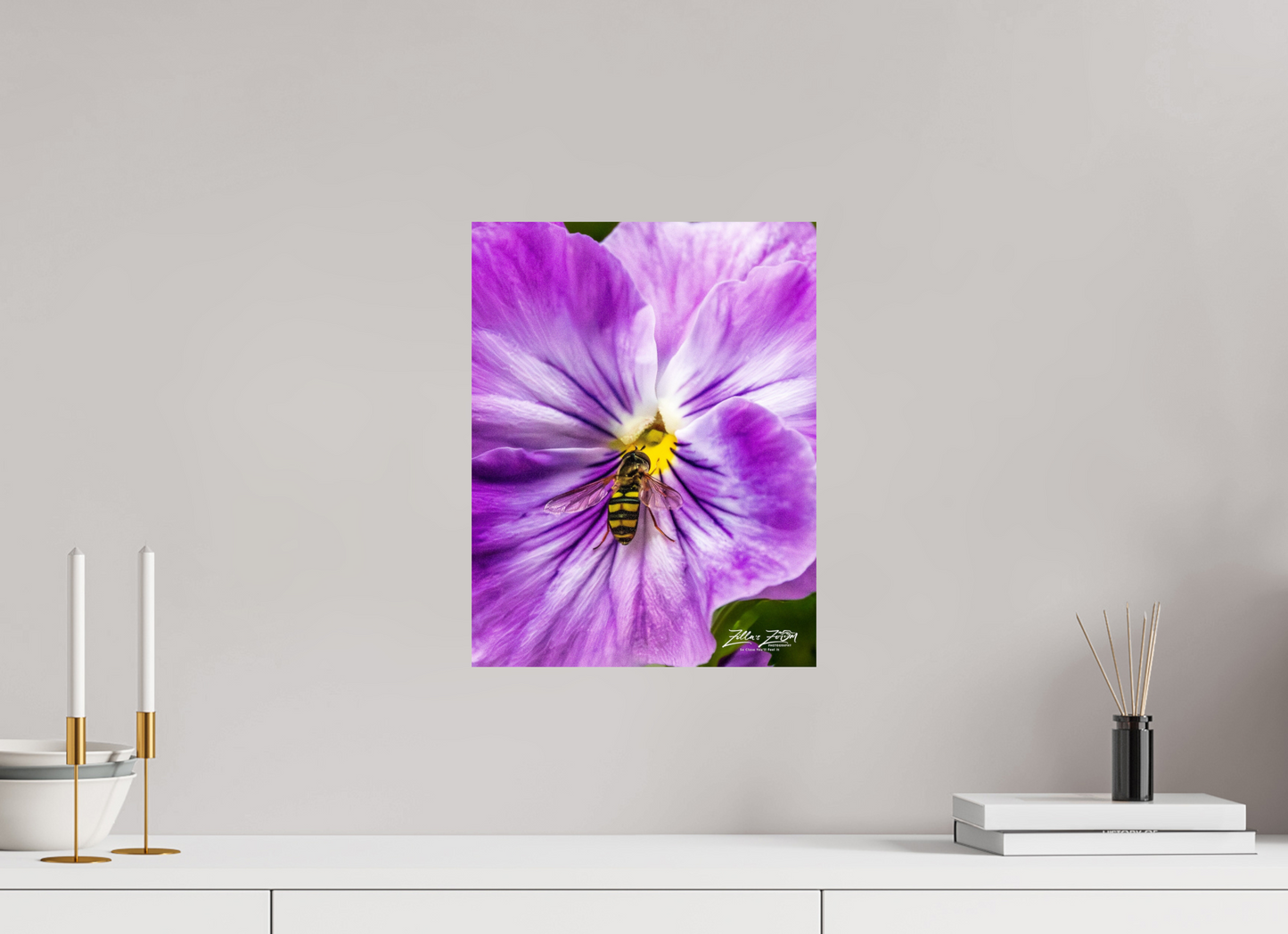12 x 15.5″, Photo Print On Fuji Crystal DP II Zillas Zoom Image 112