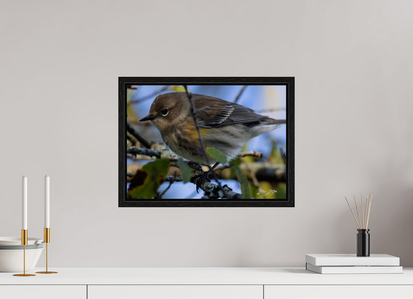 16.8 x 12″, Floater Frame Zillas Zoom Image 357