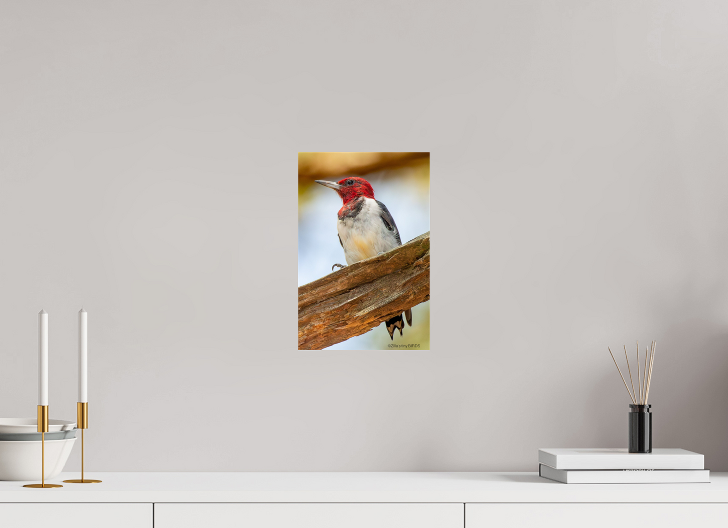 8 x 12″, Photo Print Under Acrylic Glass Zillas Zoom Image 442