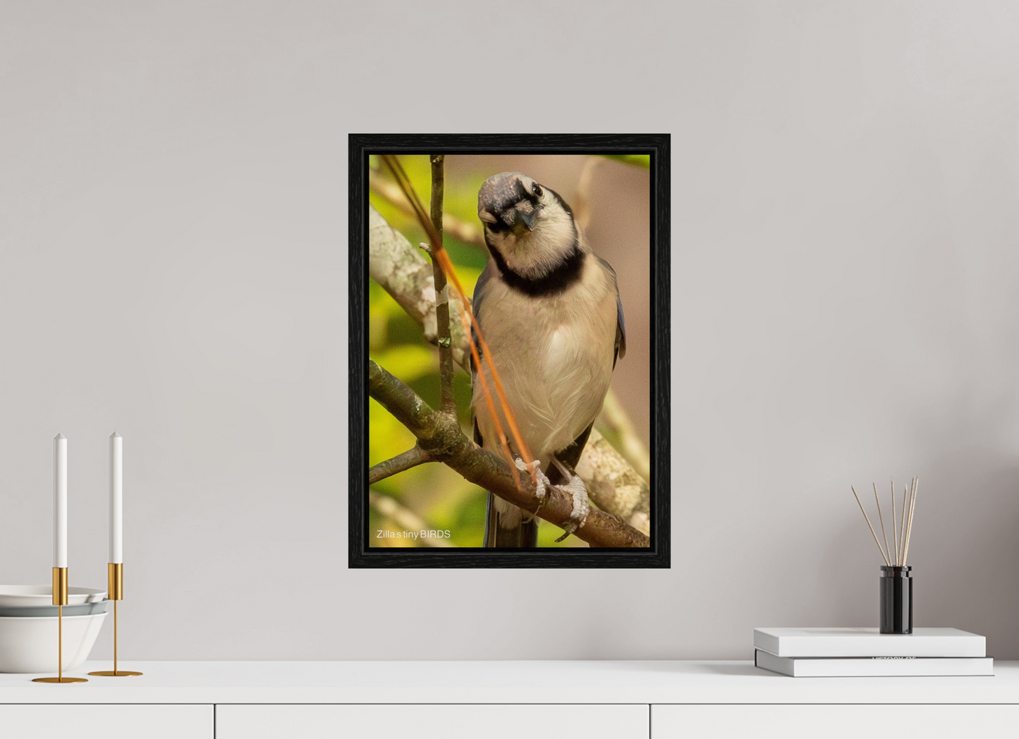 12 x 16.8″, Floater Frame Zillas Zoom Image 505