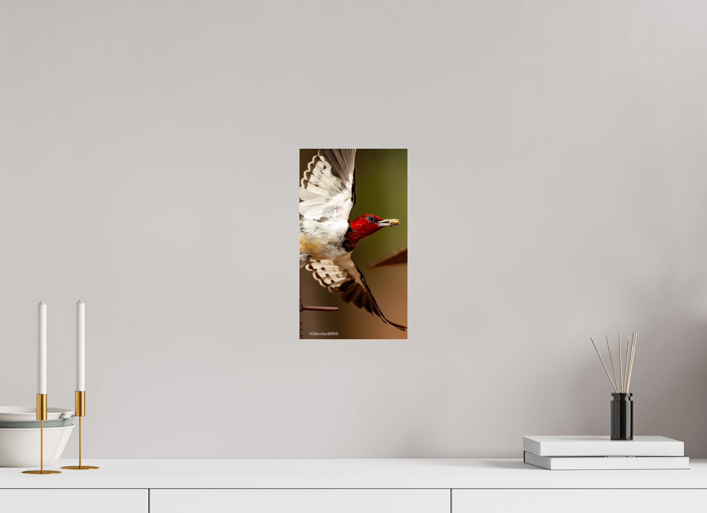 6.8 x 12″, Photo Print Under Acrylic Glass Zillas Zoom Image 399