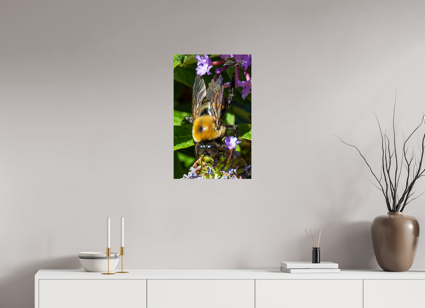 16 x 25.6″, Photo Print On Fuji Crystal DP II Zillas Zoom Image 109