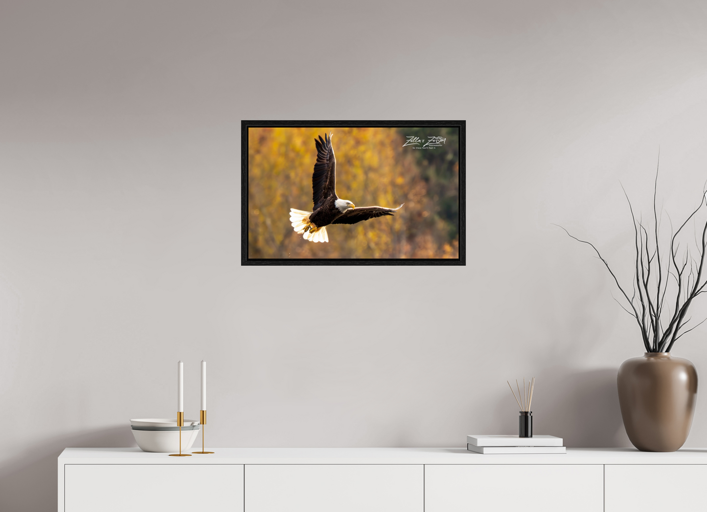 25.6 x 16″, Floater Frame Zillas Zoom Image 272