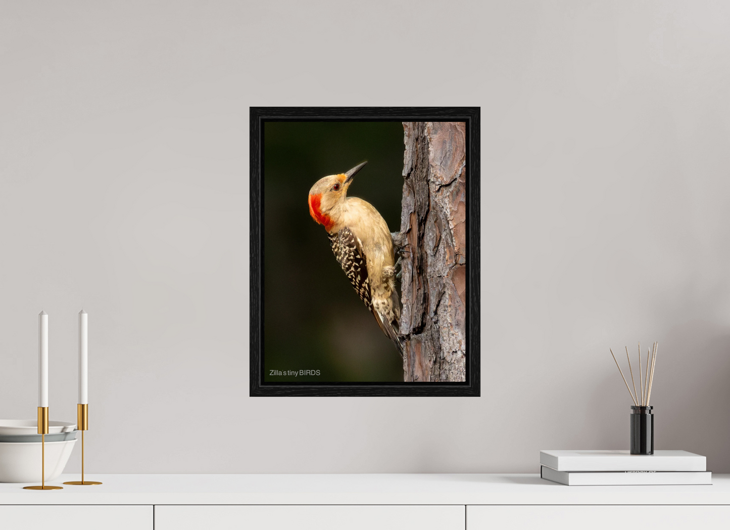 12 x 15.5″, Floater Frame Zillas Zoom Image 514