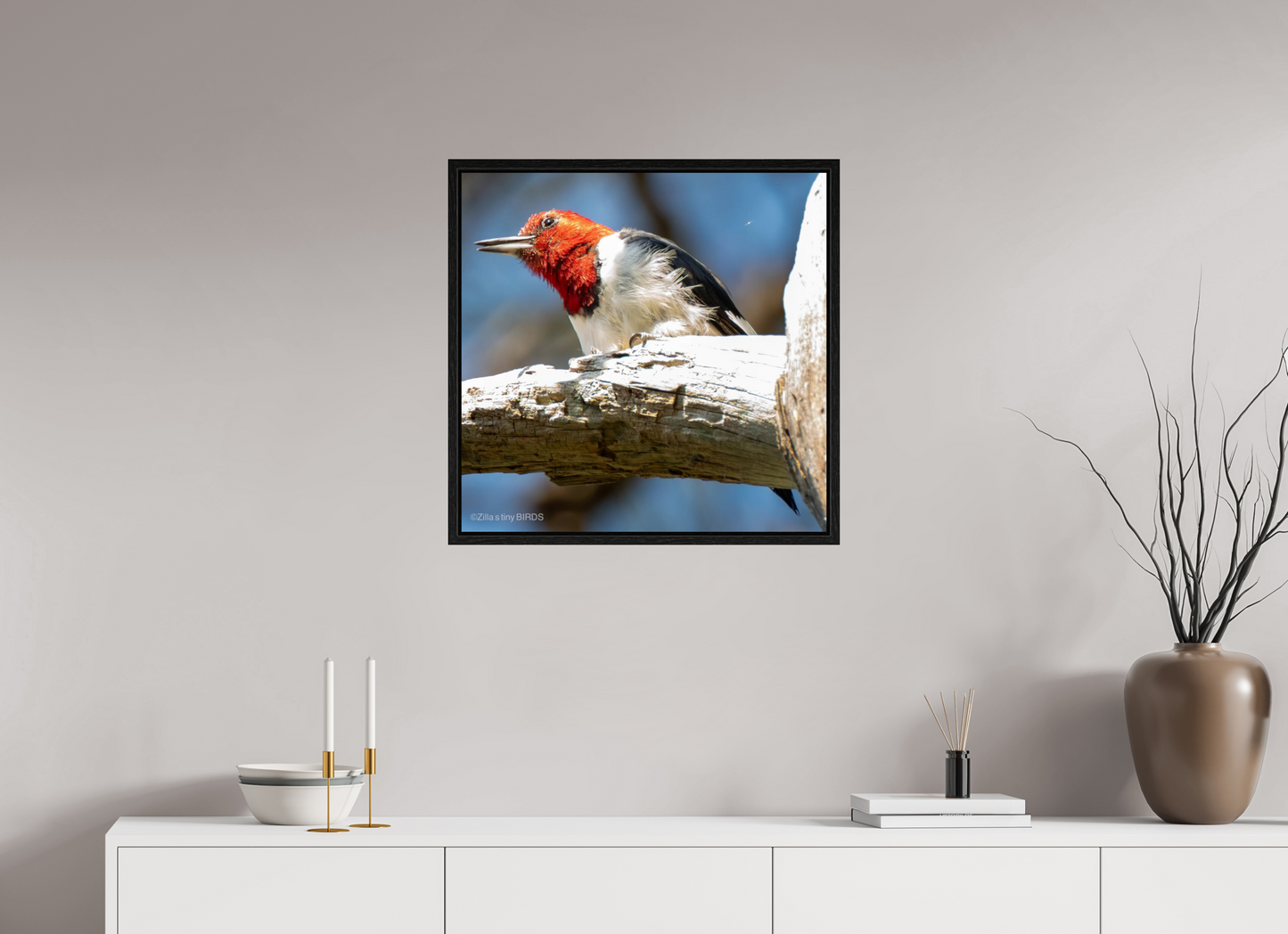 24.4 x 24″, Floater Frame Zillas Zoom Image 273