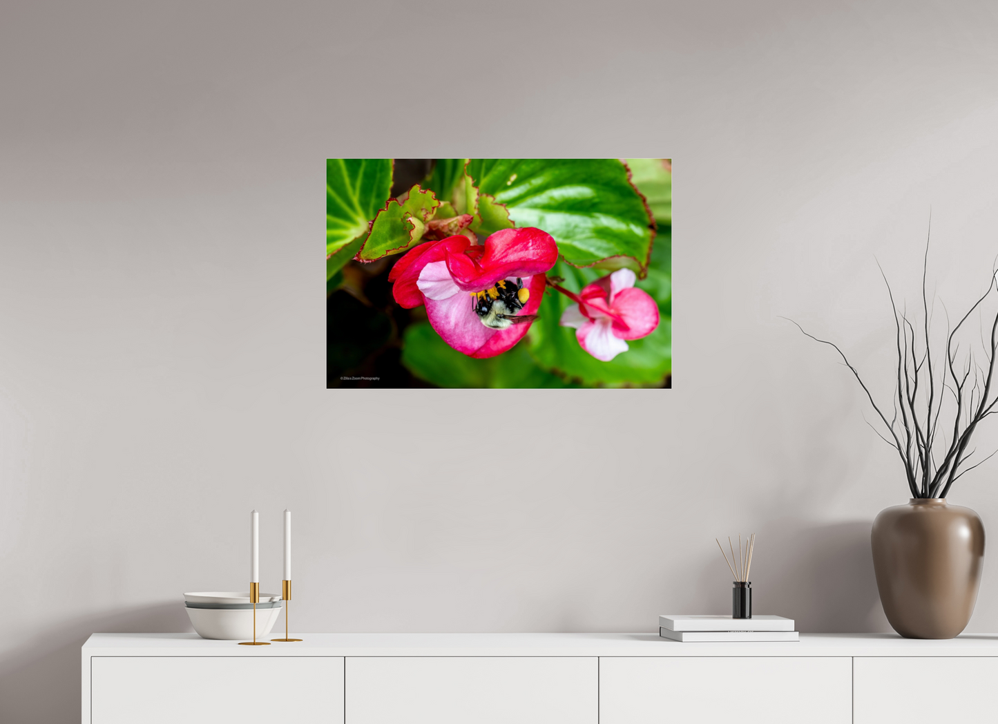 30 x 20″, Photo Print Under Acrylic Glass Zillas Zoom Image 96
