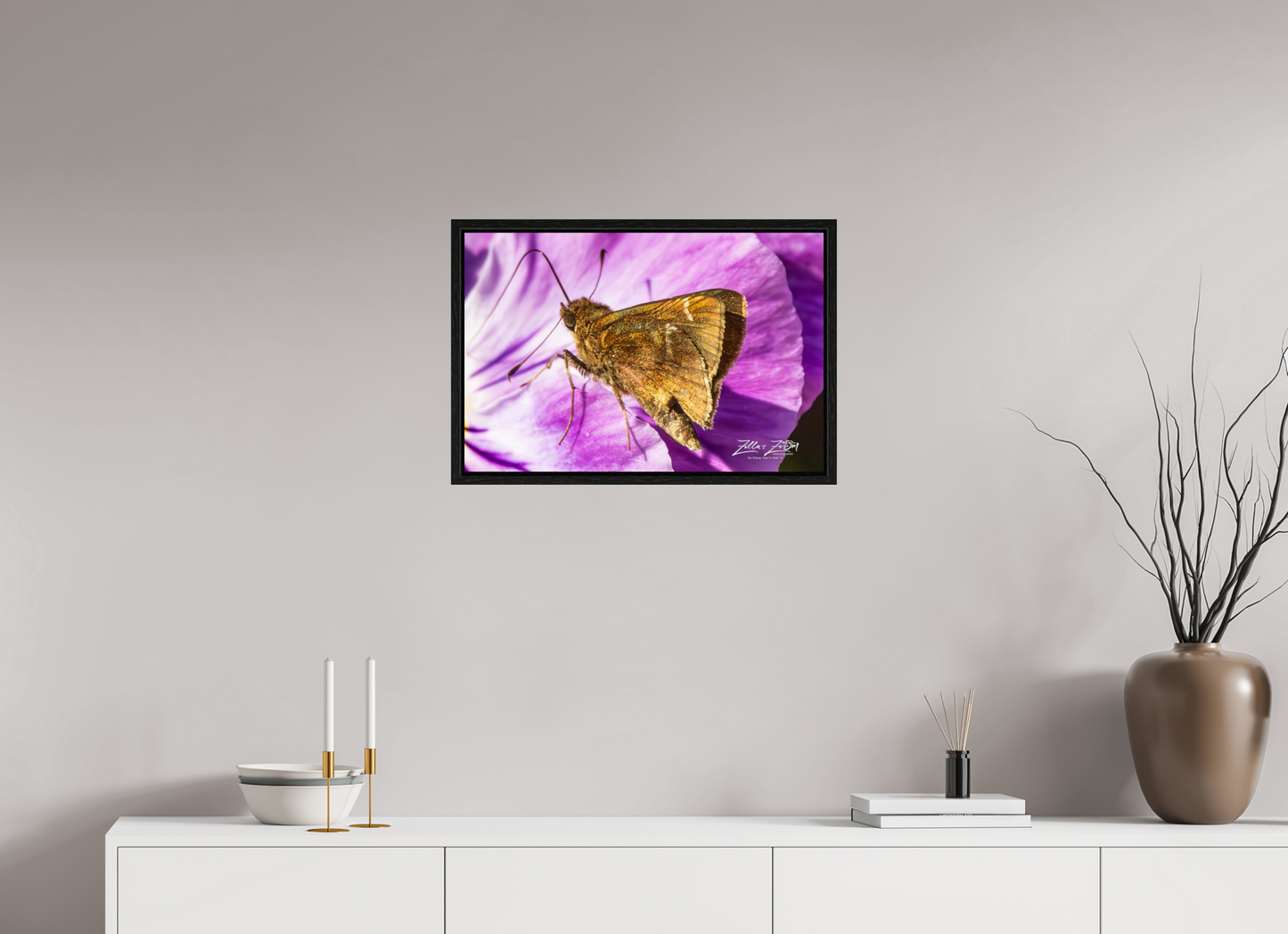24 x 16″, Floater Frame Zillas Zoom Image 62