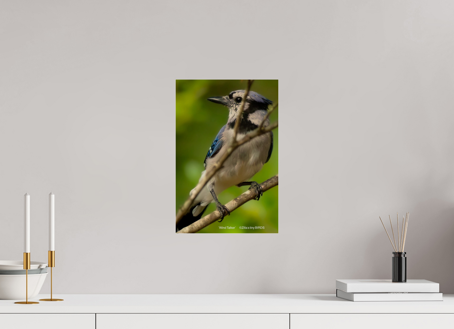 10 x 15″, Photo Print Under Acrylic Glass Zillas Zoom Image 435