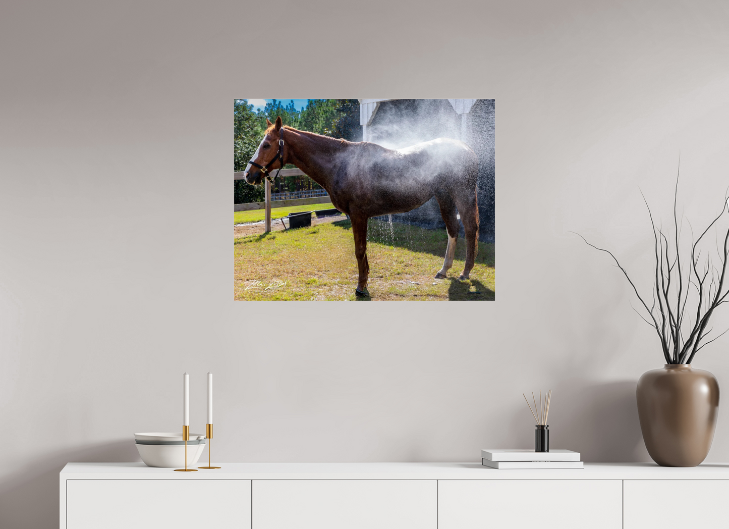 31.1 x 24″, Photo Print Under Acrylic Glass Zillas zoom image 145