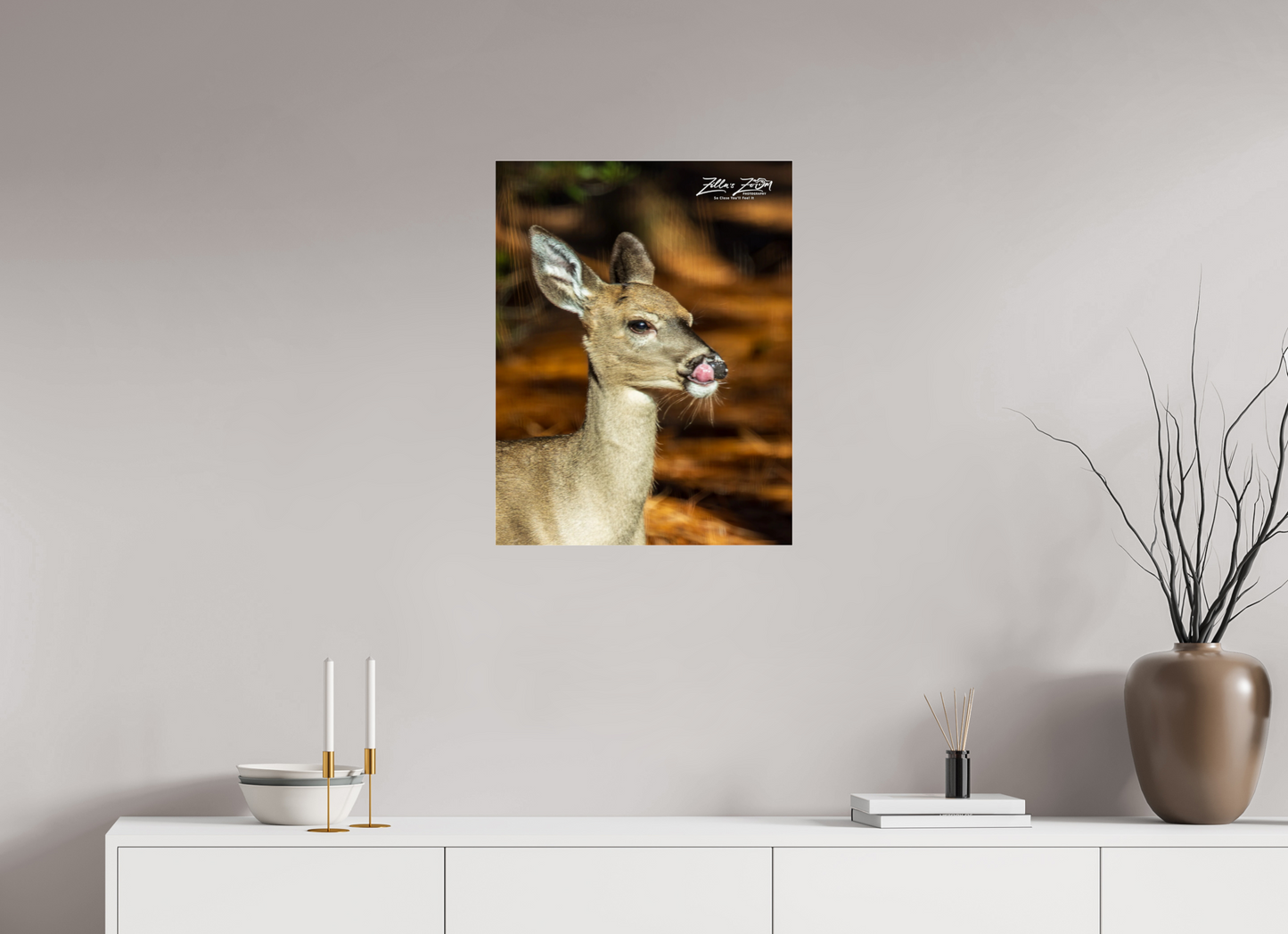 20 x 25.9″, Photo Print Under Acrylic Glass Zillas zoom image 152