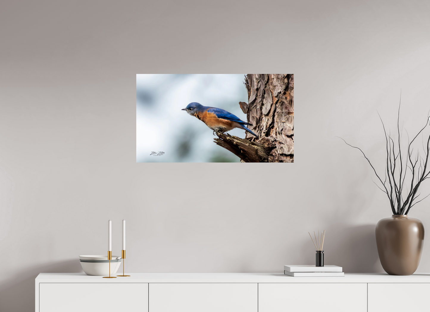 32 x 18″, Photo Print On Fuji Crystal DP II Zillas Zoom Image 346