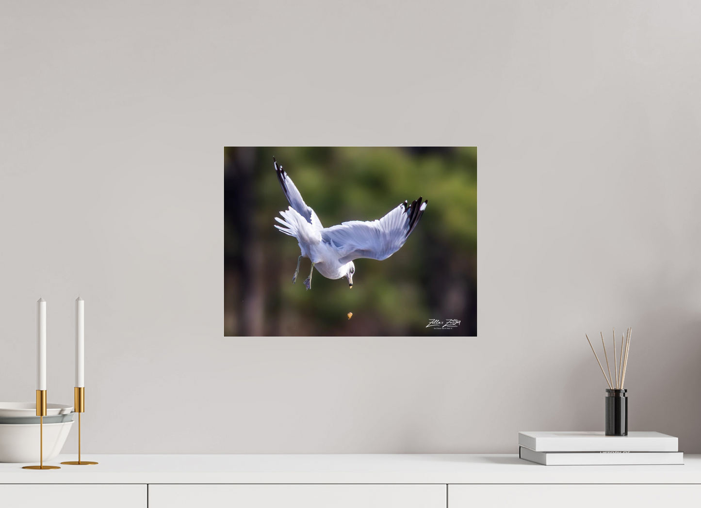 16 x 12″, Photo Print Under Acrylic Glass Zillas Zoom Image 268