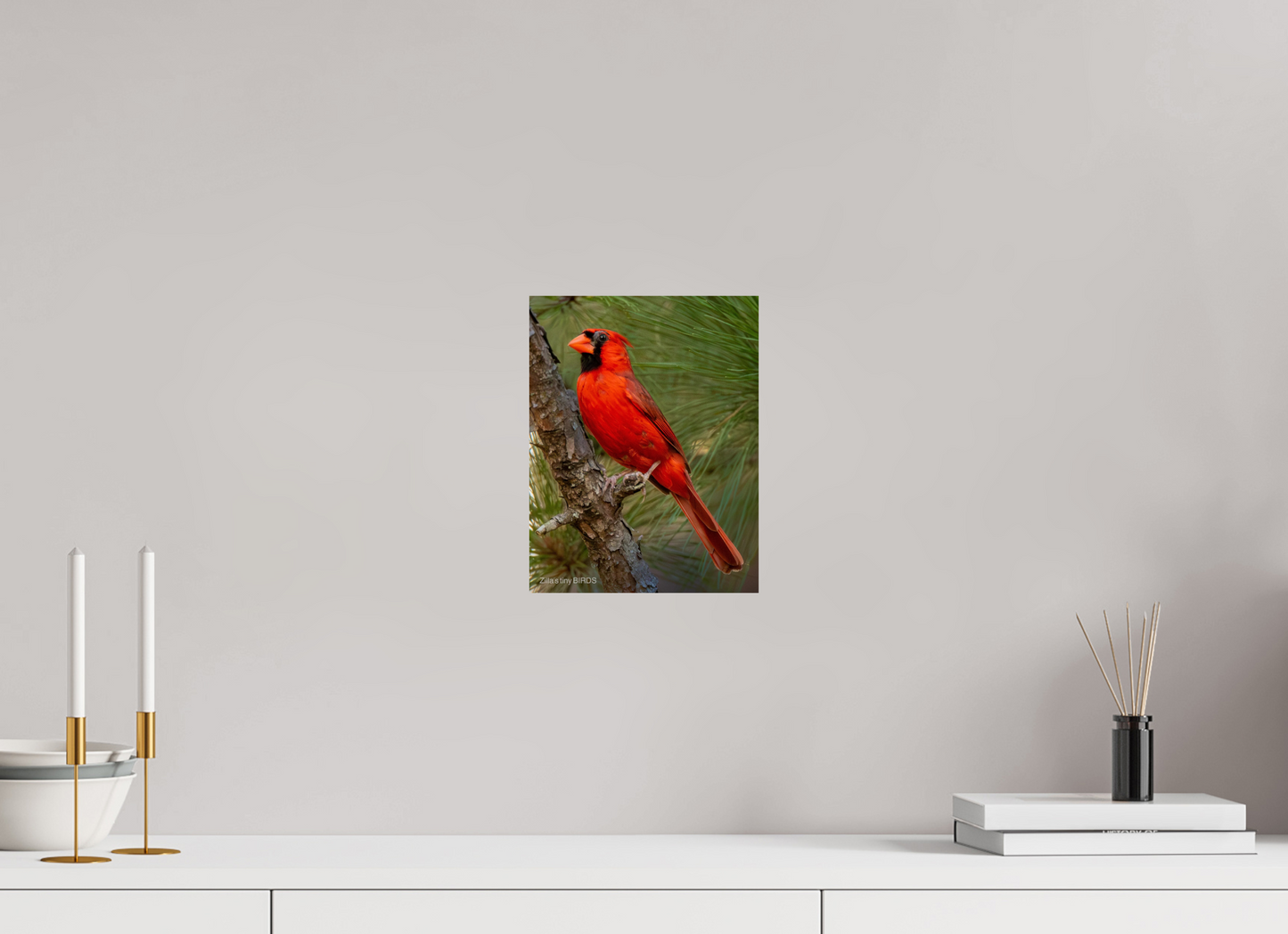 8 x 10.4″, Photo Print On Fuji Crystal DP II Zillas Zoom Image 521