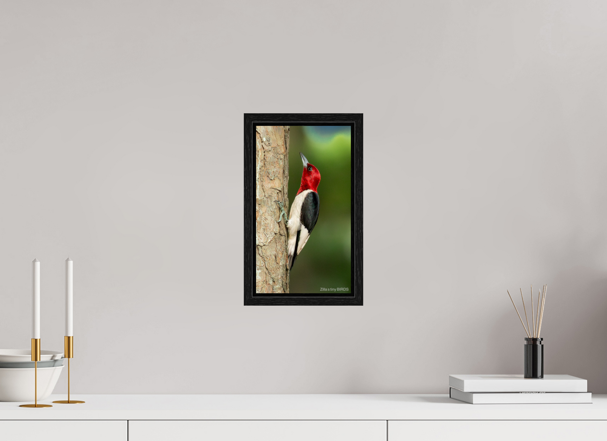 6.8 x 12″, Floater Frame Zillas Zoom Image 492