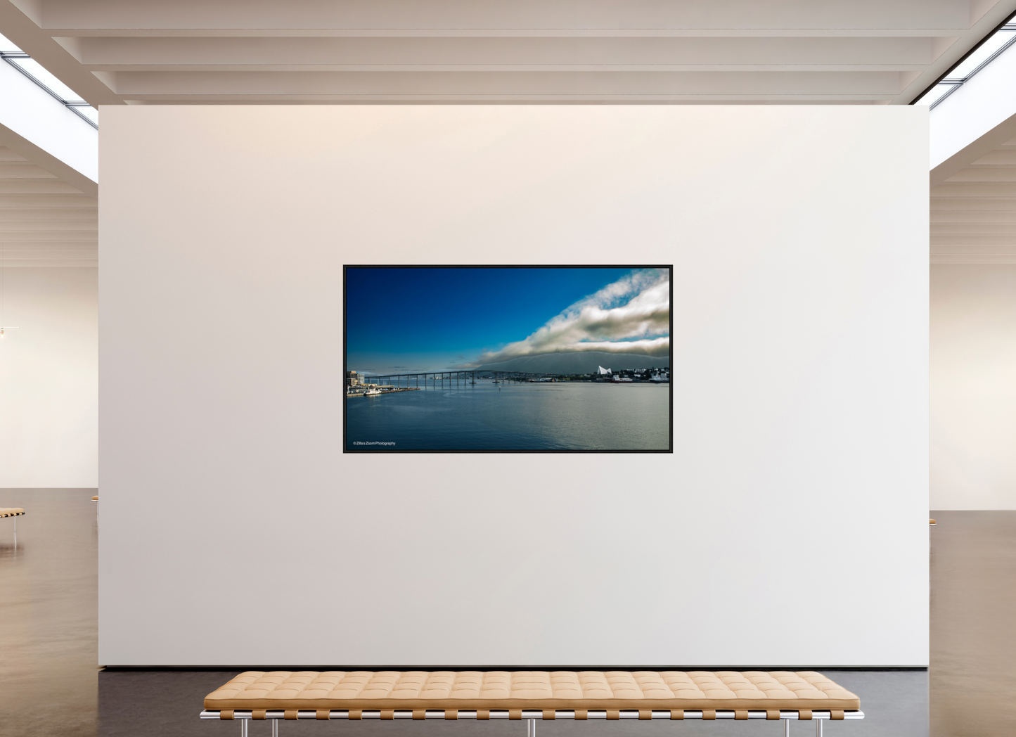 80 x 45″, Floater Frame Zillas Zoom Image 164