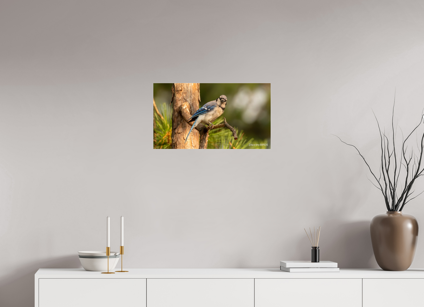 24 x 13.5″, Photo Print Under Acrylic Glass Zillas Zoom Image 385