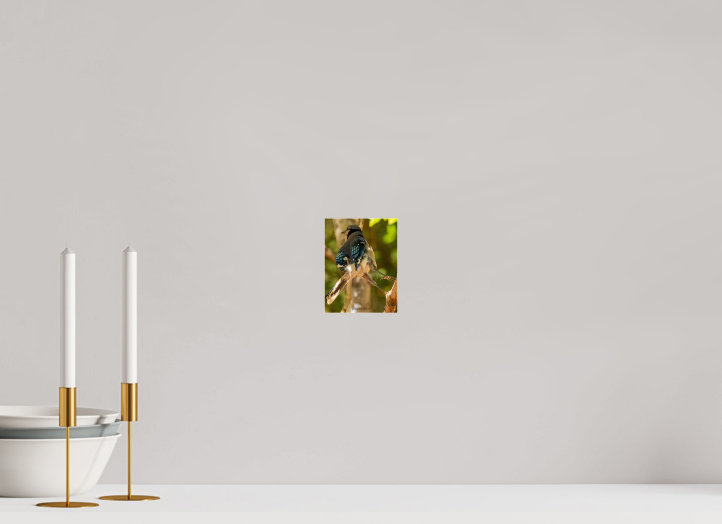 4 x 5.2″, Photo Print Under Acrylic Glass Zillas Zoom Image 518
