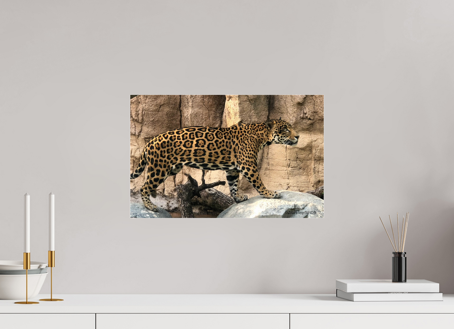 18.9 x 12″, Photo Print Under Acrylic Glass Zillas zoom image 139
