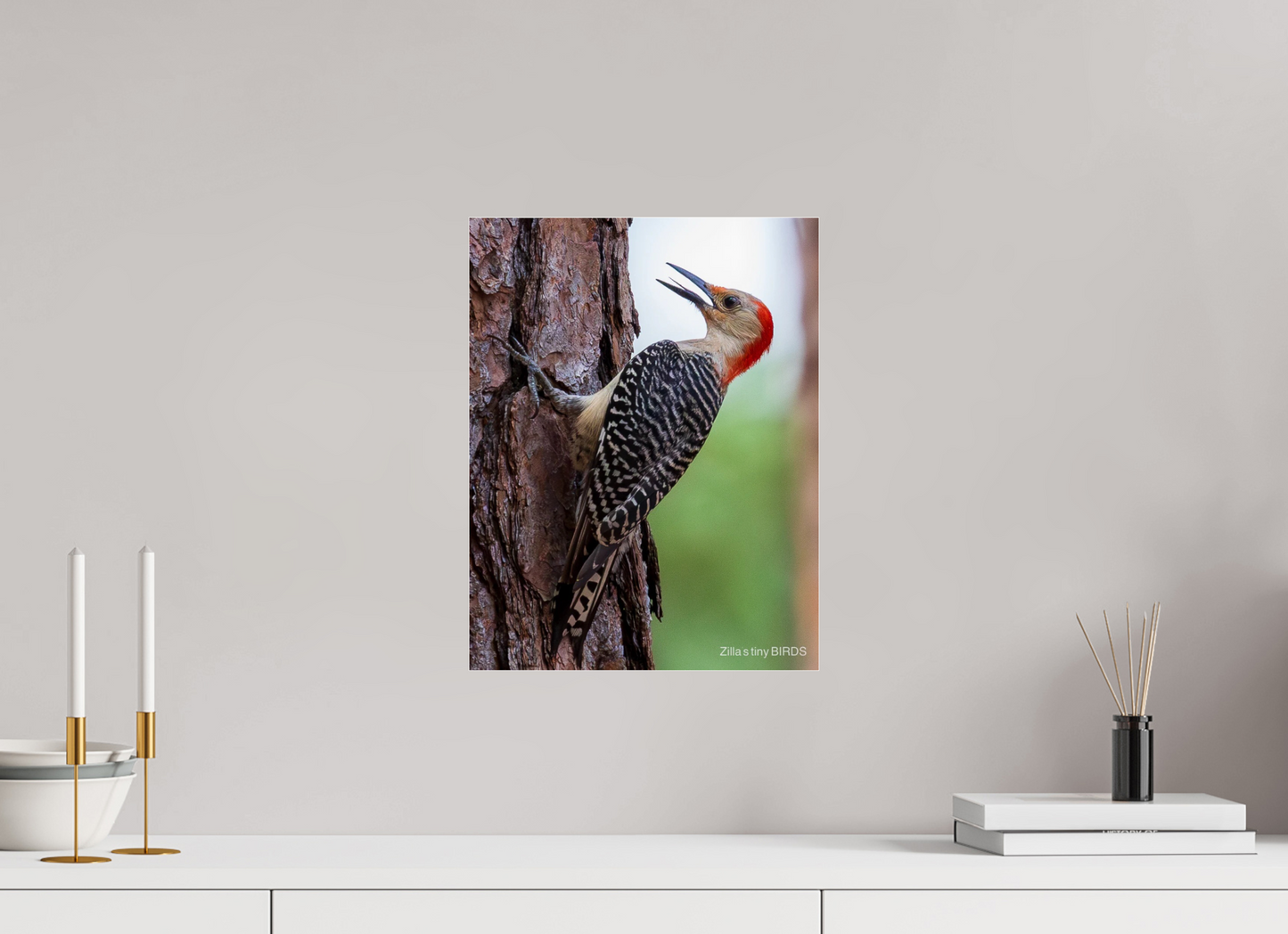 12 x 15.6″, Photo Print Under Acrylic Glass Zillas Zoom Image 475