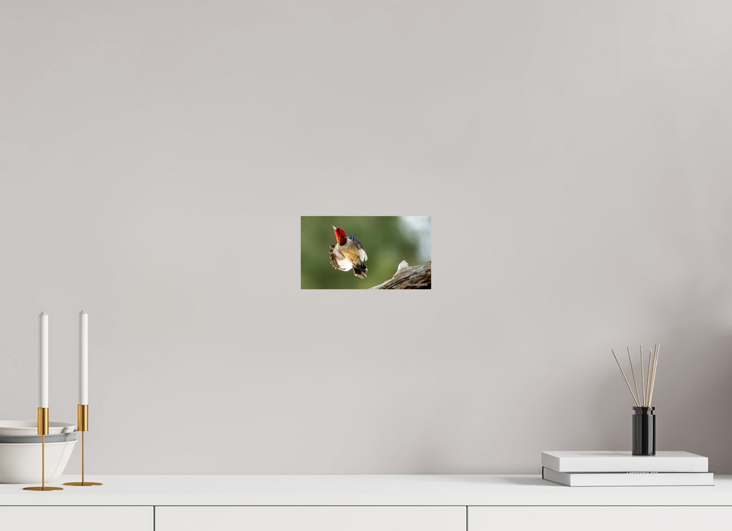 8 x 4.5″, Photo Print On Fuji Crystal DP II Zillas Zoom Image 374