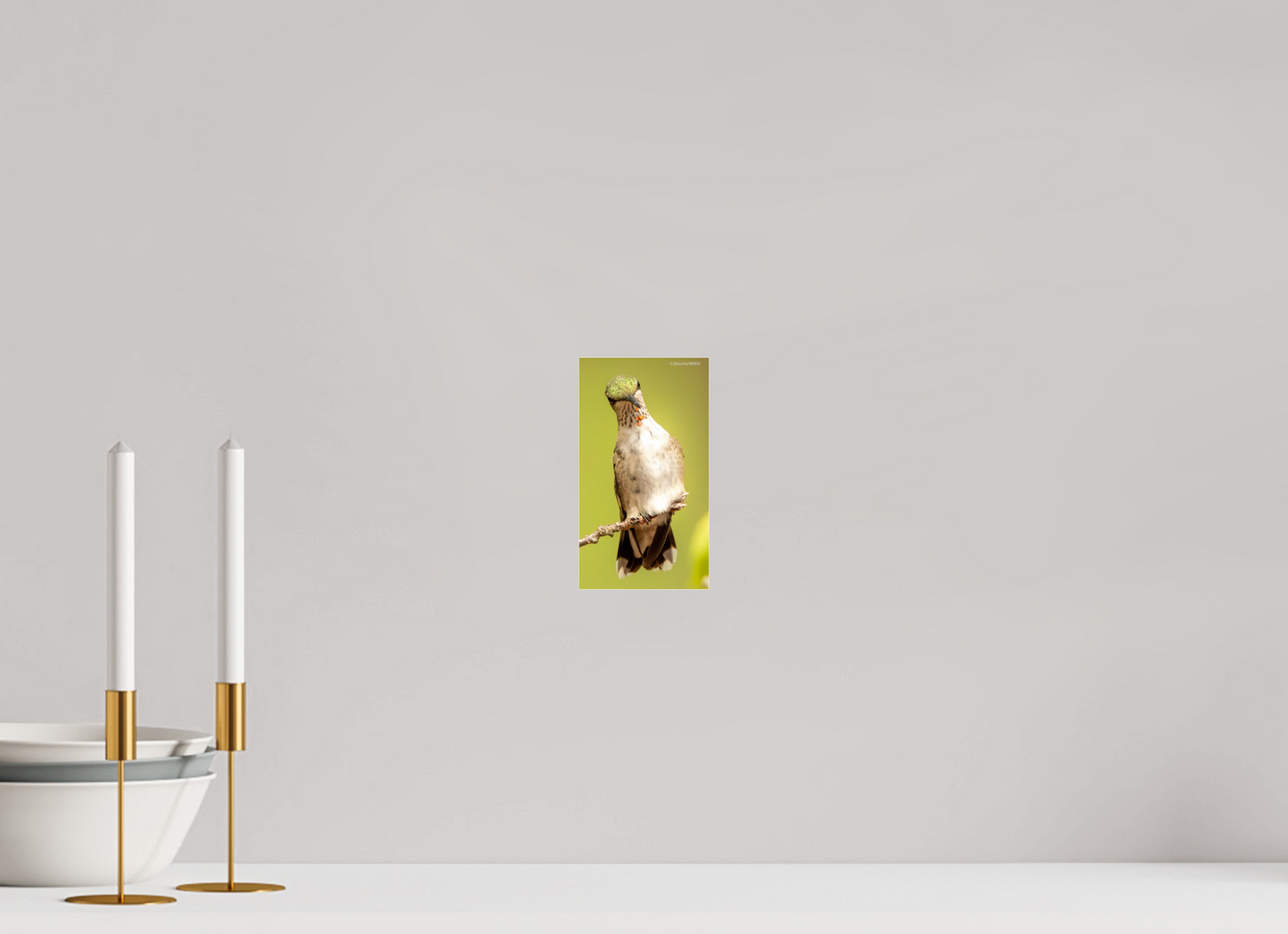 4 x 7.2″, Photo Print Under Acrylic Glass Zillas Zoom Image 444