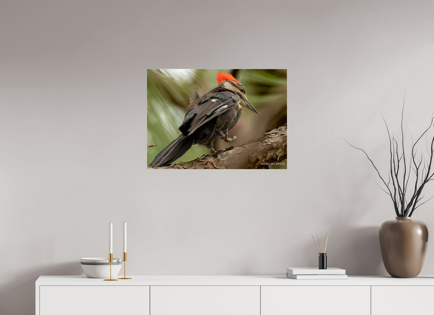 28 x 20″, Photo Print Under Acrylic Glass Zillas Zoom Image 341