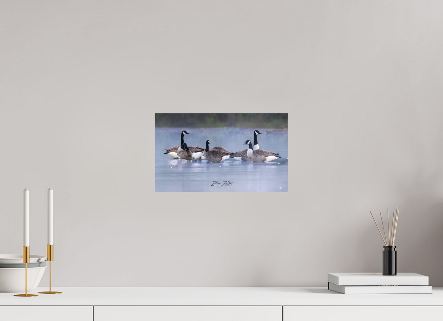 13.5 x 8″, Photo Print On Fuji Crystal DP II Zillas Zoom Image 313