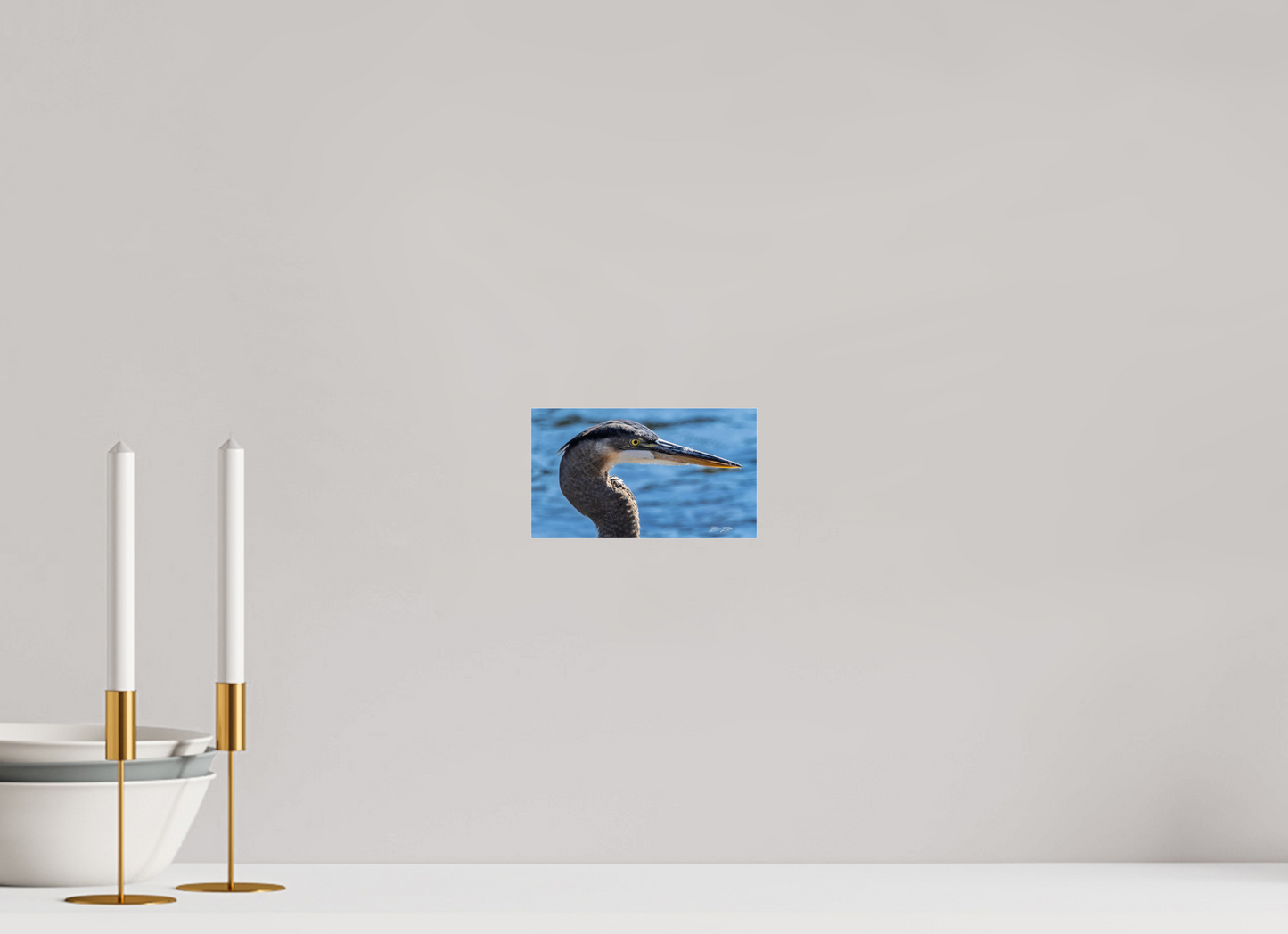 7 x 4″, Photo Print Under Acrylic Glass Zillas Zoom Image 342