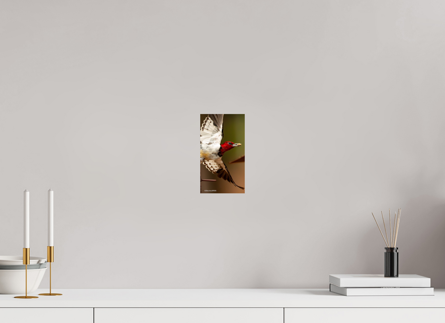 4.5 x 8″, Photo Print On Fuji Crystal DP II Zillas Zoom Image 399